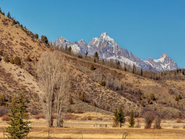 Truly Magnificent Six Bedroom Family Home In Jackson Hole