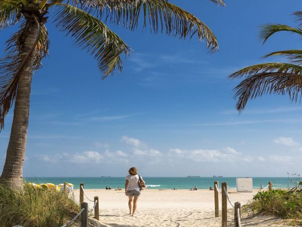 Luxurious Waterfront Vacation Villa in Miami Beach Sleeps 14