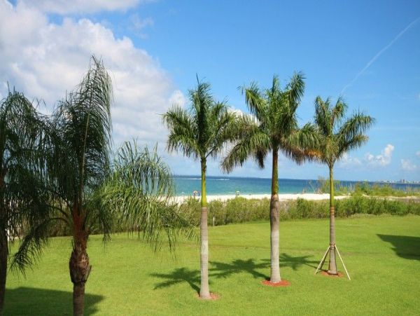 Fort Myers Condo 999565