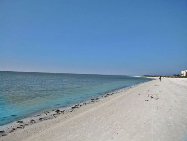 Fort Myers Condo 999613