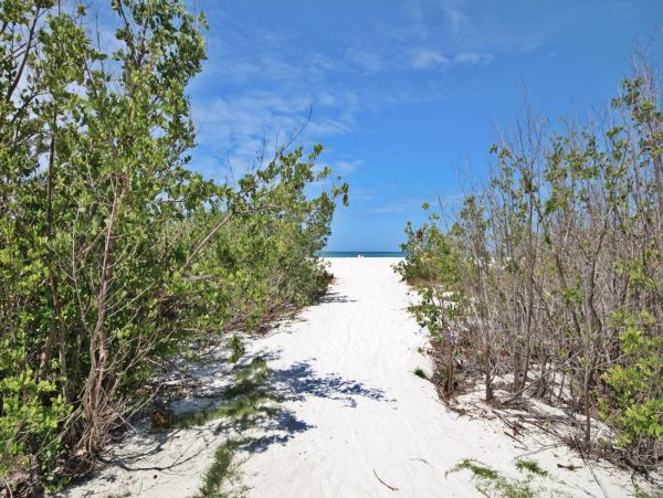 Enjoy Beautiful Views of the Gulf of Mexico & Miles of Silky Sand Beach