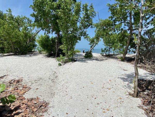 Fort Myers Condo 999631