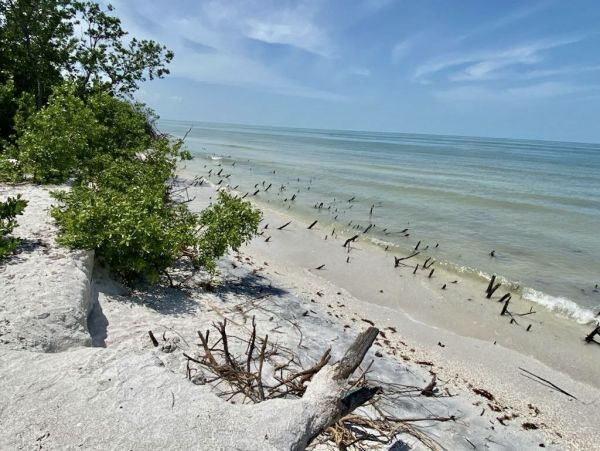 Fort Myers Condo 999639