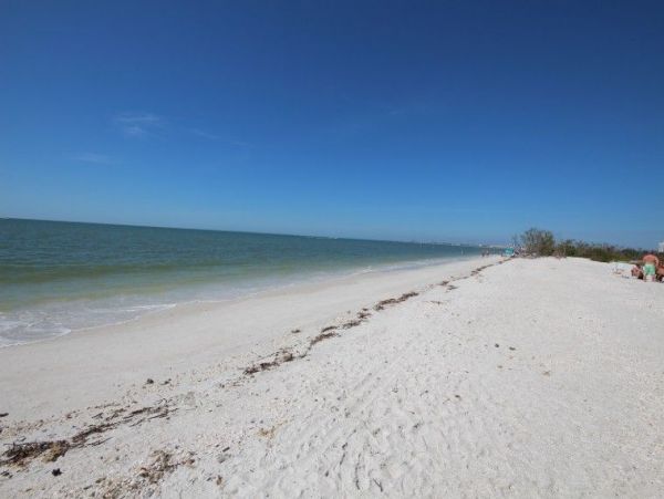 Fort Myers Condo 999639