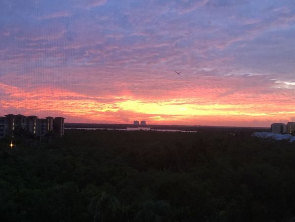 Fort Myers Condo 999648