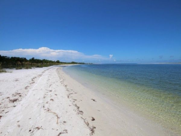 Fort Myers Condo 999650