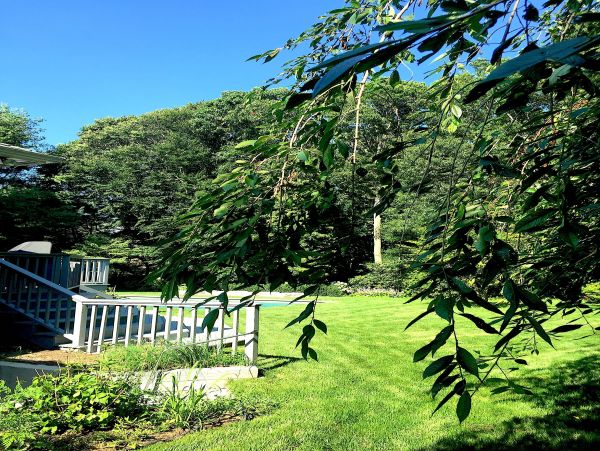 Hamptons Home 999760