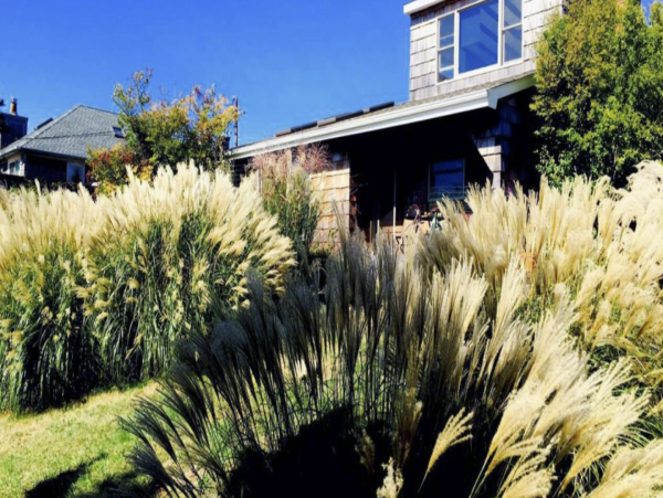 Hamptons Home 999802