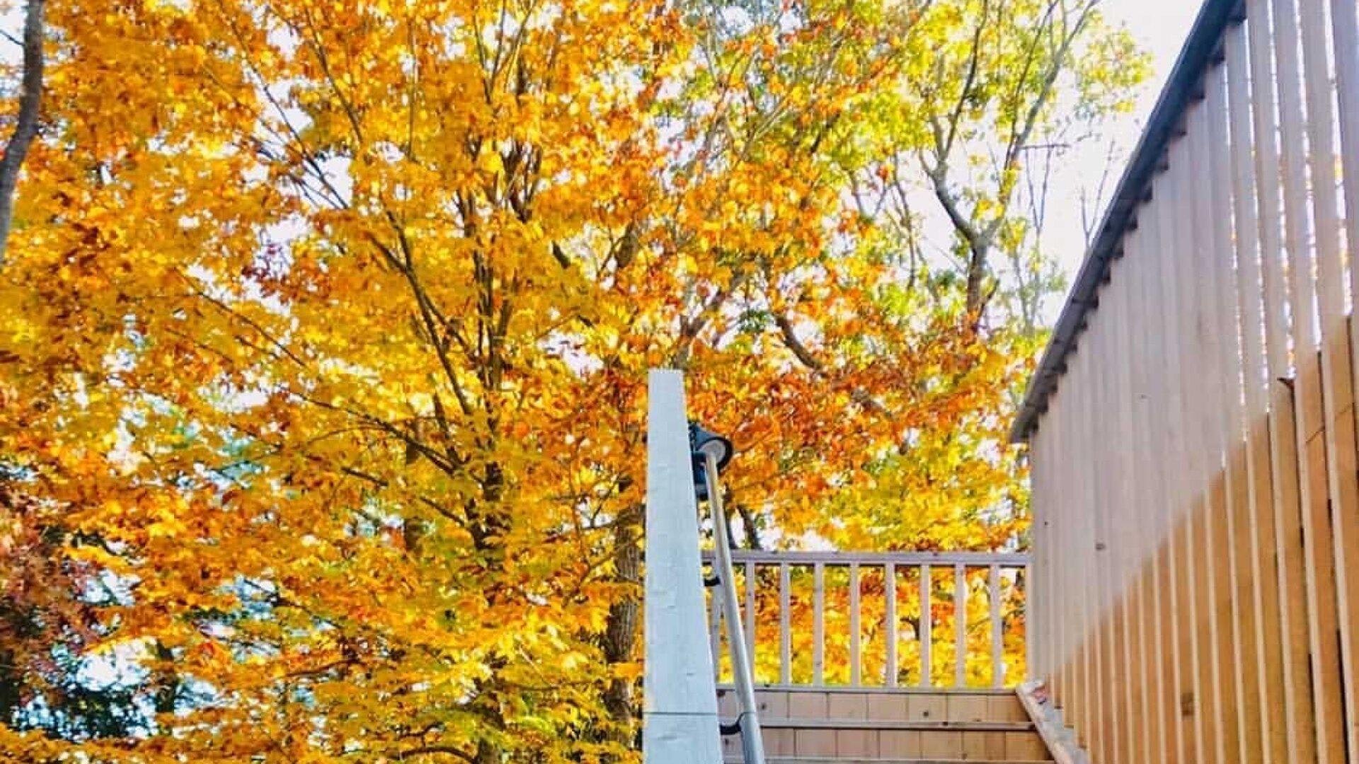 Hamptons Home 999804
