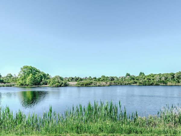 Hamptons Home 999806