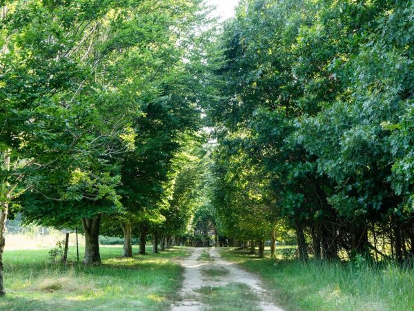 Beautiful Hamptons Vacation Home Walk to Beach Sleeps 10