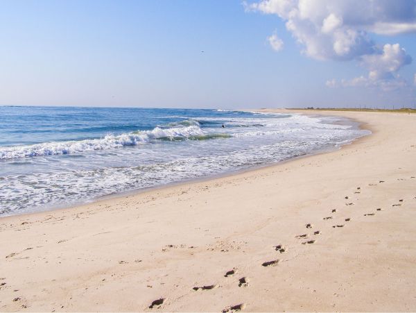 Gorgeous Hamptons Vacation Home with Private Pool Sleeps 12