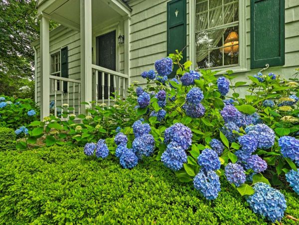 Hamptons Home 999925