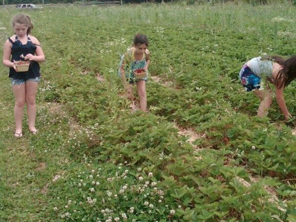 Hamptons Home 999929