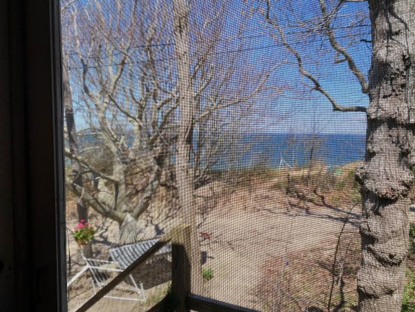 Hamptons Home 999940