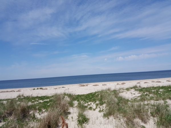 Hamptons Home 999941