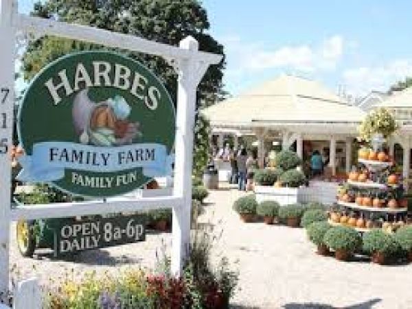 Hamptons Home 999955