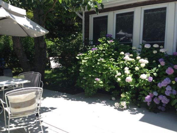 Hamptons Home 999957