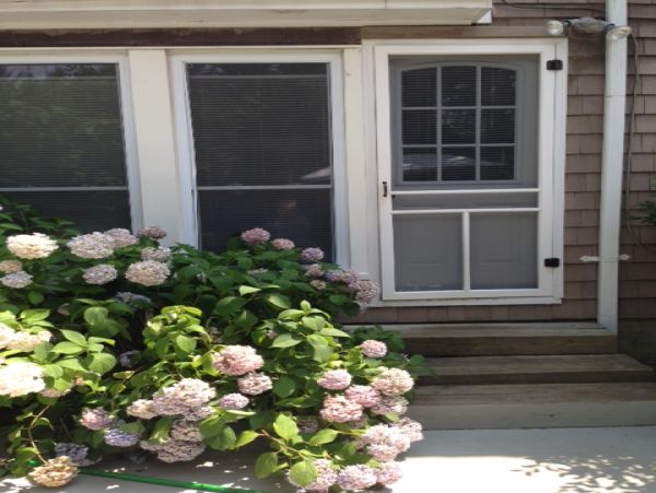 Hamptons Home 999957