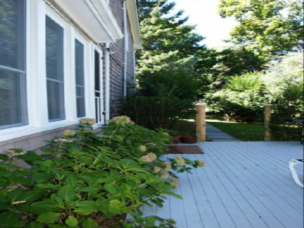 Hamptons Home 999957