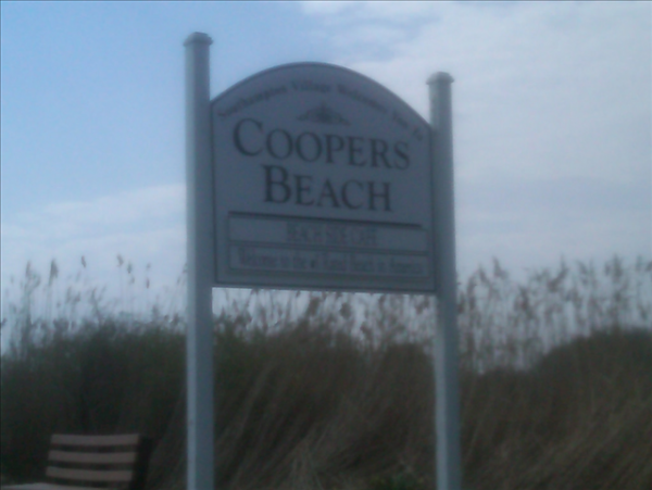 Hamptons Home 999957