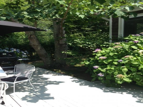 Hamptons Home 999957
