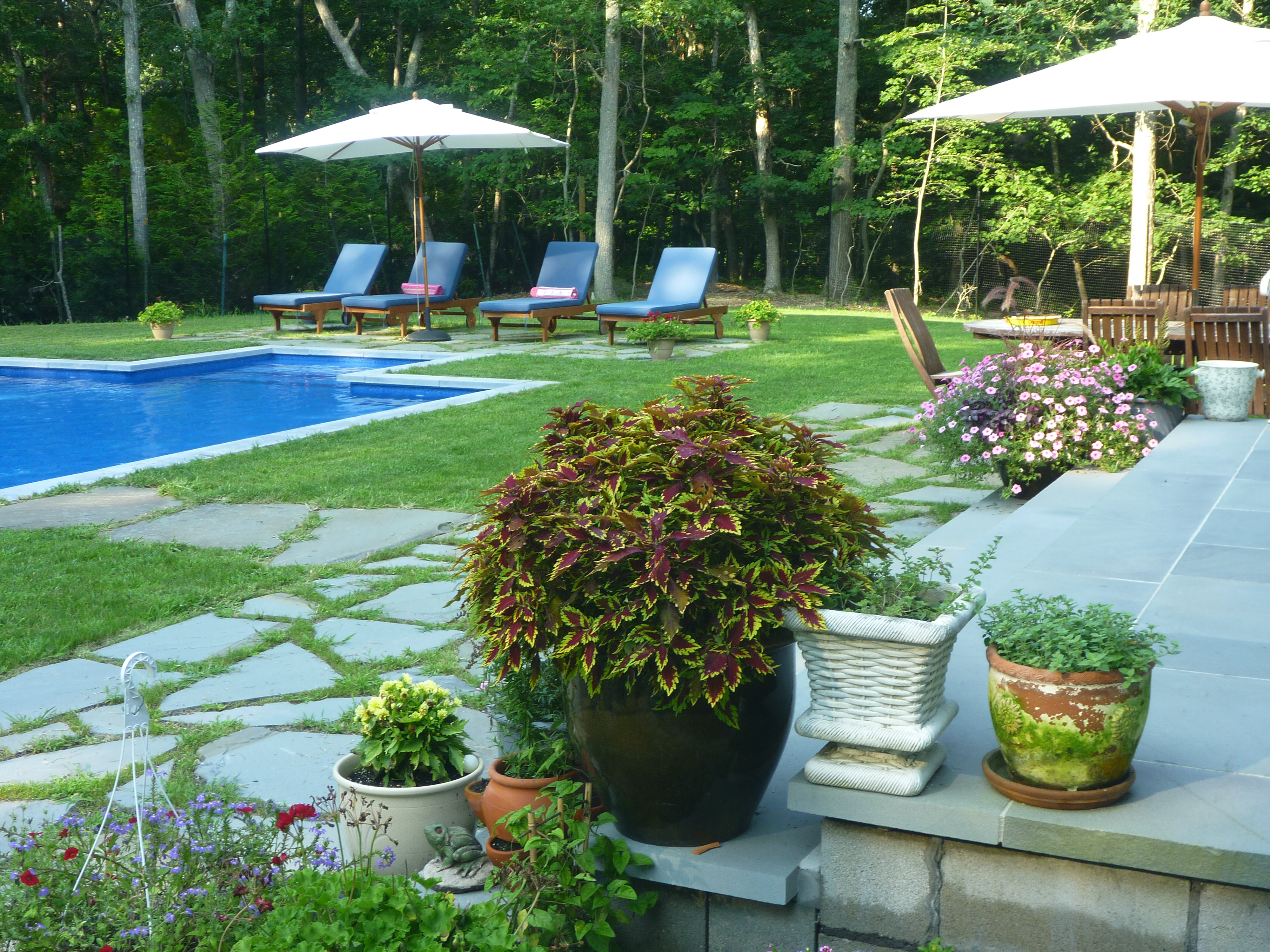Hamptons Home 999960