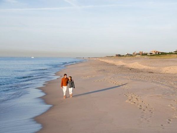 Hamptons Home 999965
