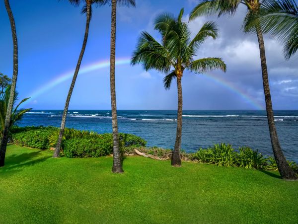 Beachfront Exclusive Vacation Home in Mokuleia 8 Guests