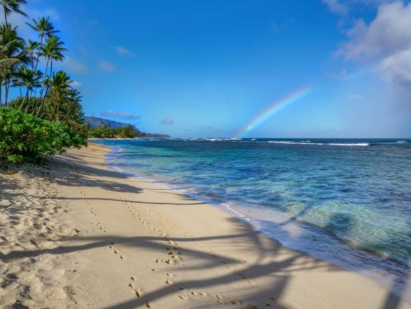 Beachfront Exclusive Vacation Home in Mokuleia 8 Guests