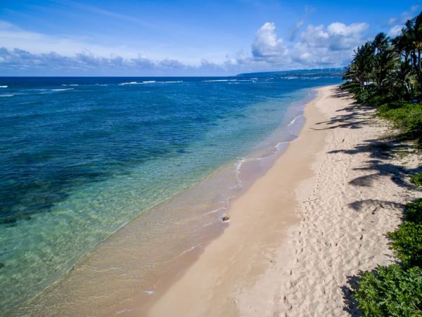 Beachfront Exclusive Vacation Home in Mokuleia 8 Guests
