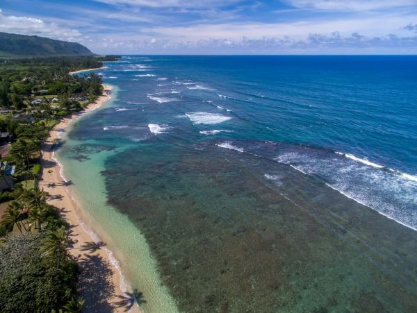Beachfront Exclusive Vacation Home in Mokuleia 8 Guests