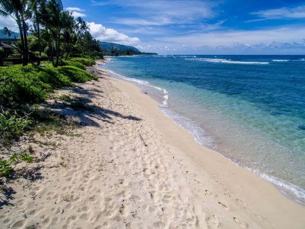 Beachfront Exclusive Vacation Home in Mokuleia 8 Guests