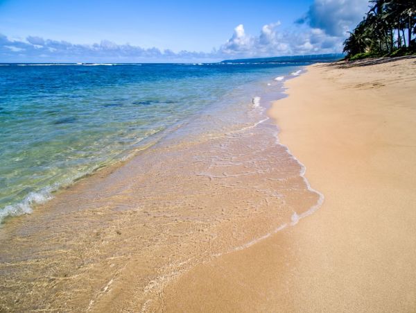 Beachfront Exclusive Vacation Home in Mokuleia 8 Guests