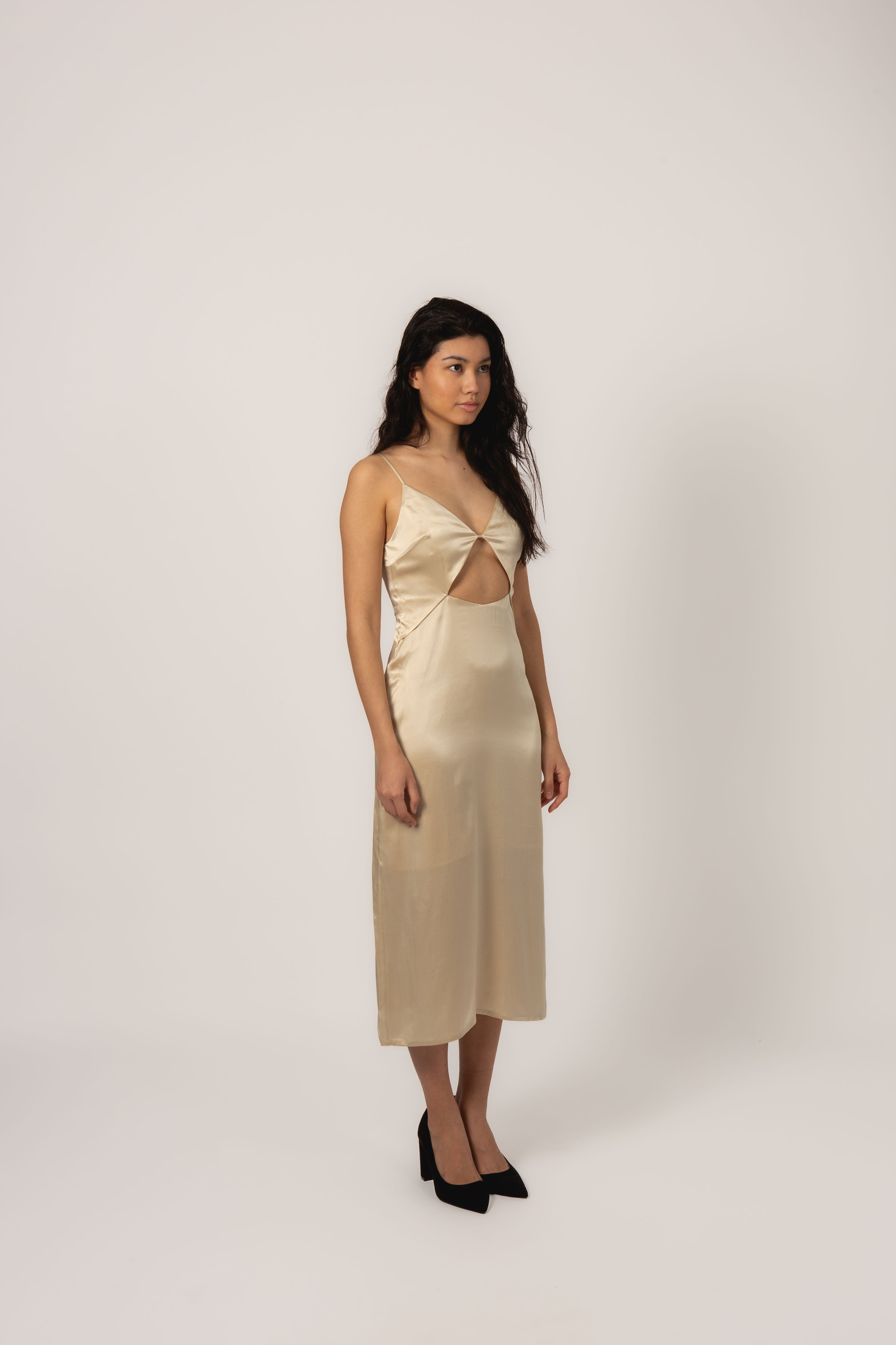 Sophie Dress - Champagne