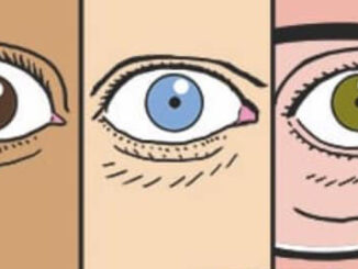 A Shadow Called Danger Week 29