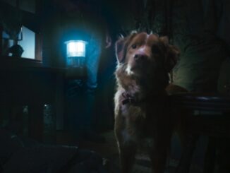 Good Boy trailer: trust his instincts