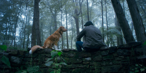 Good Boy trailer: trust his instincts