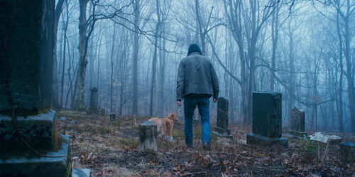 Good Boy trailer: trust his instincts