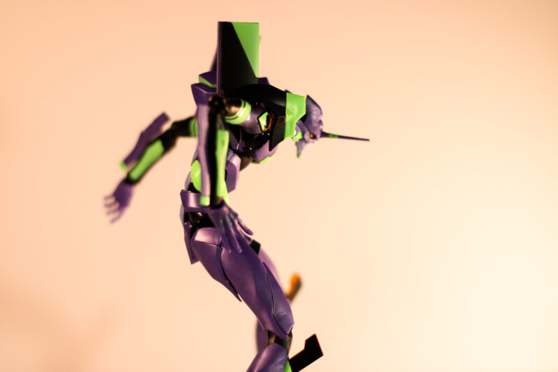 eva prepared