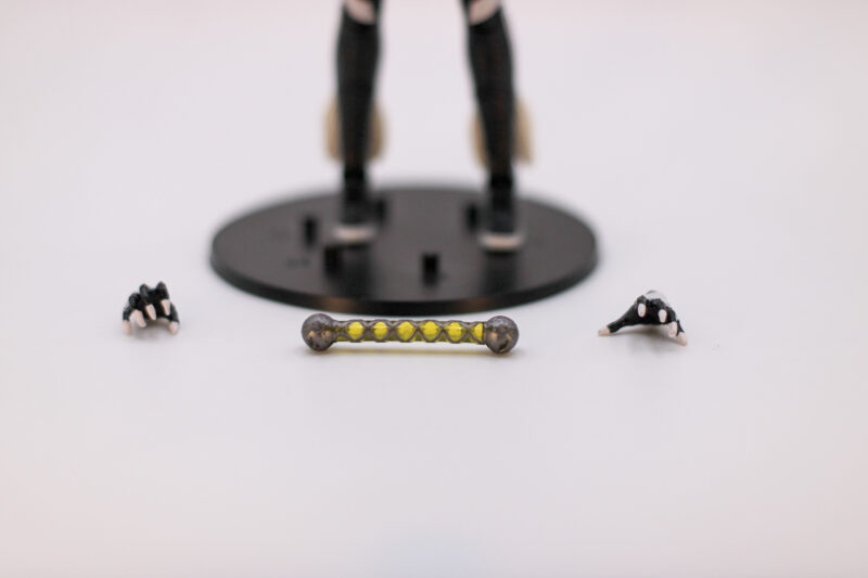 black cat accessories