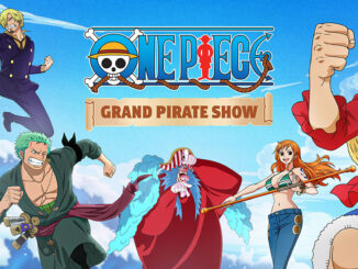 One Piece Stunt Show