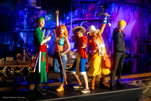 One Piece Stunt Show