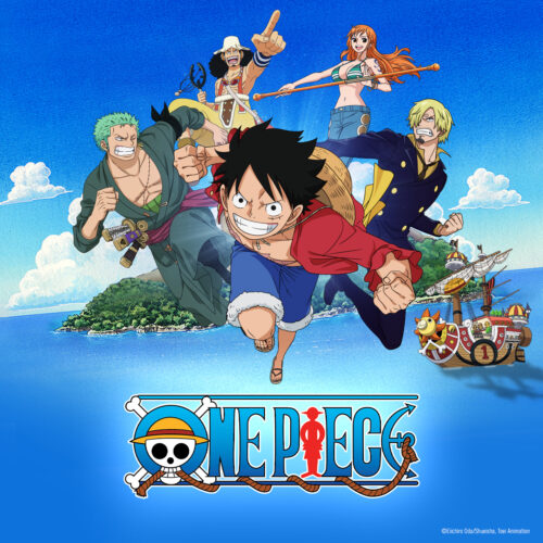 One Piece Stunt Show