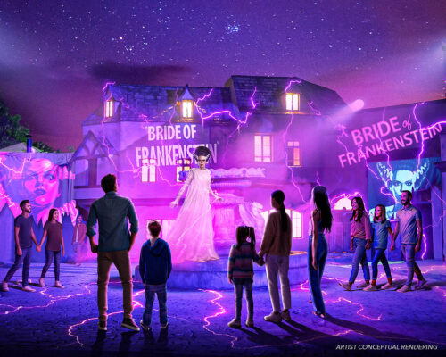 Universal Fanfest Nights