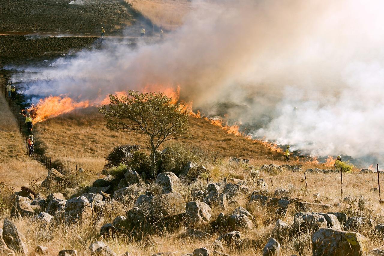 Grass fire with billowing smoke spreading across a dry valley
