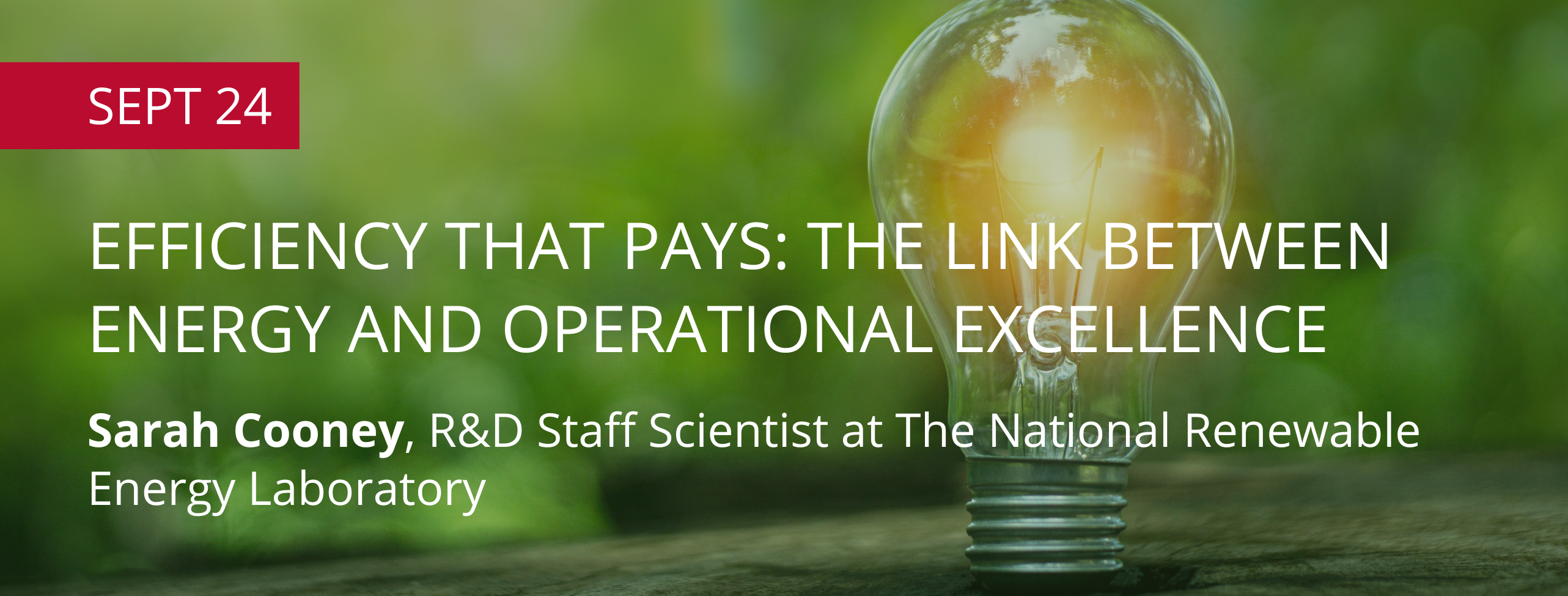 Efficiency That Pays: The Link Between Energy and Operational Excellence