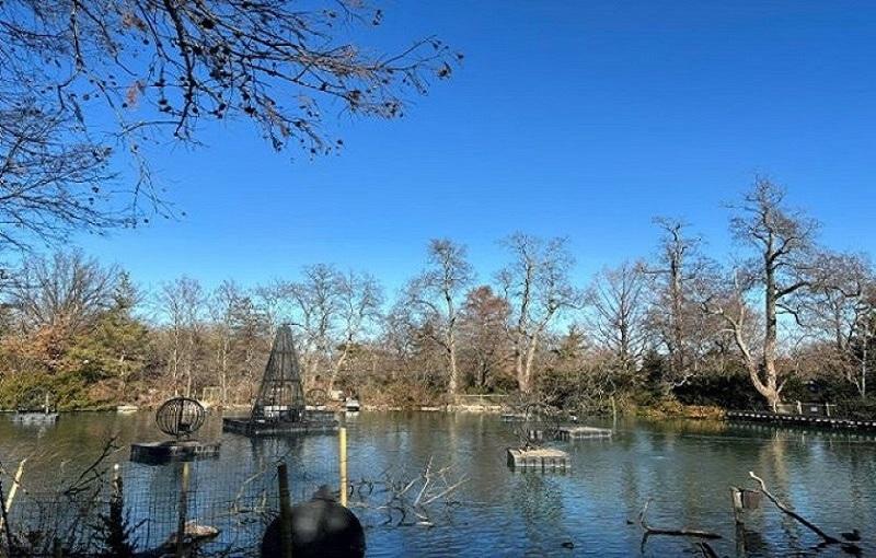 Cincinnati Zoo lake