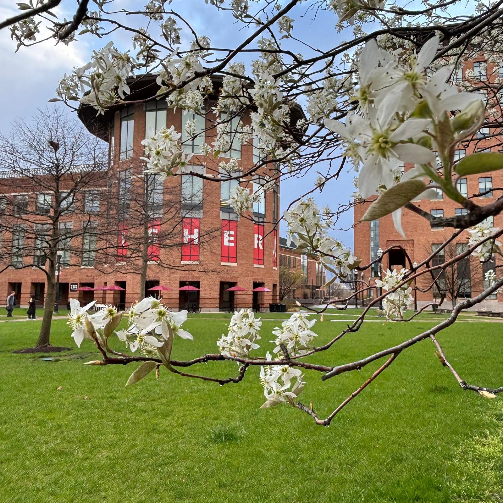 Navigating the Academic Path of a Full-Time MBA