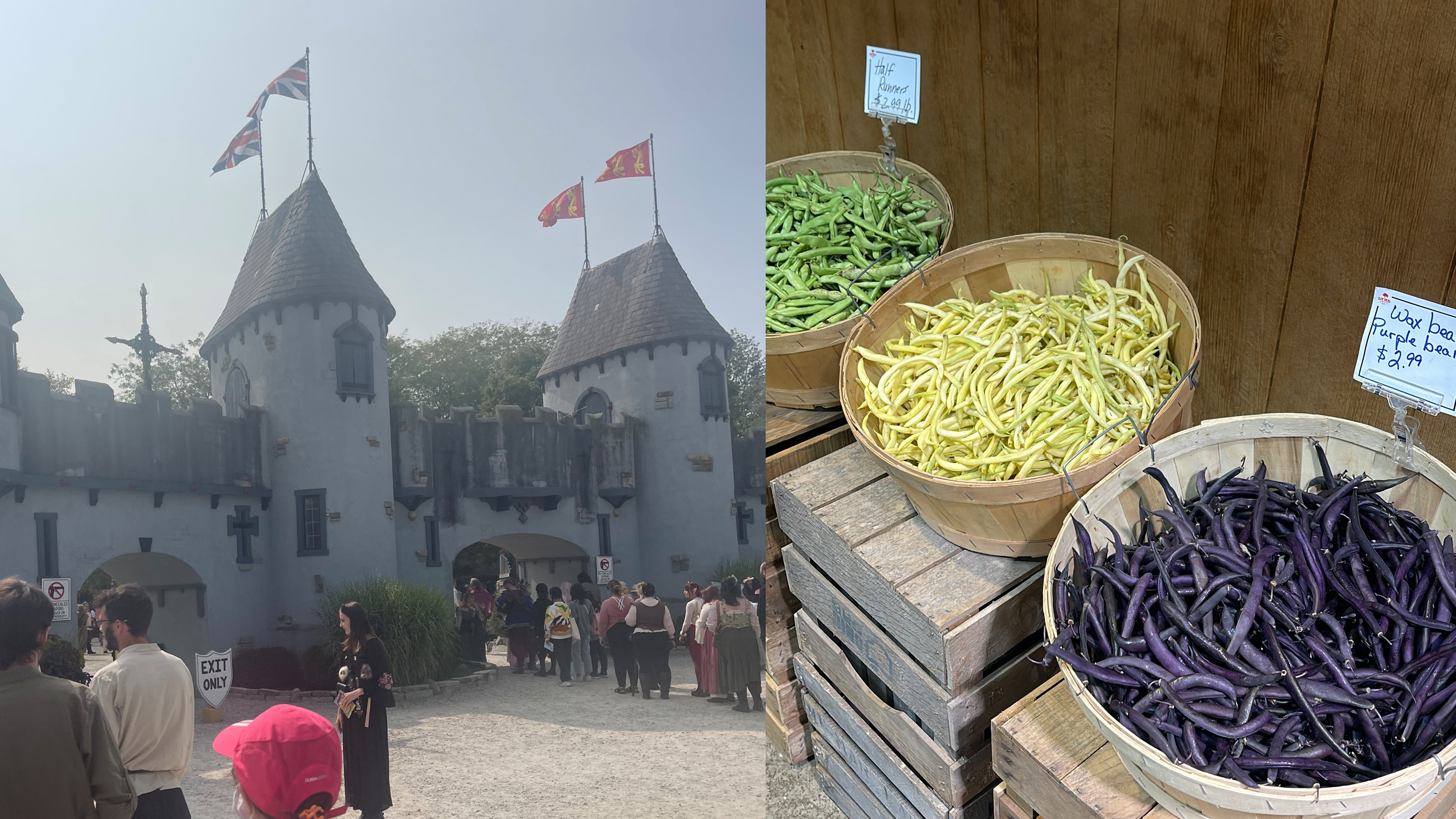 The Castle and the Farm